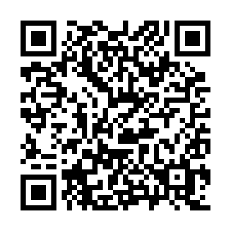 QR code for plate 383-RIL