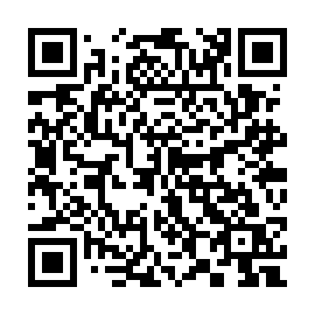 QR code for plate 383-UCS