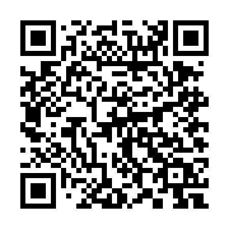 QR code for 384-DGT