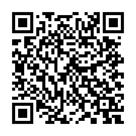 QR code for 384-DWS
