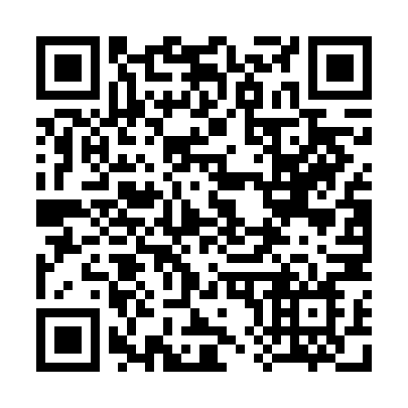 QR code for 384-FNN