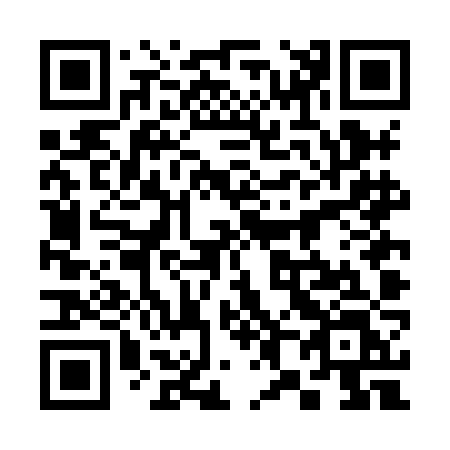 QR code for 384-HJL