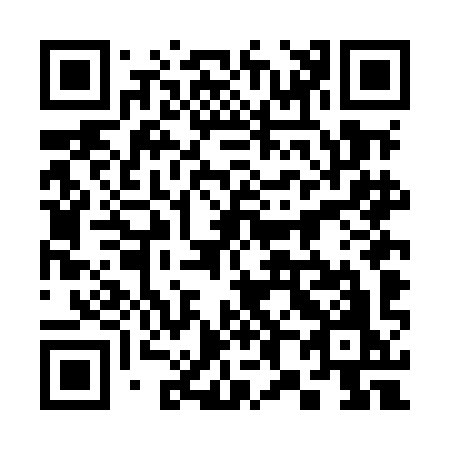 QR code for 384-MIO