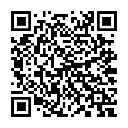 QR code for 384-PGH
