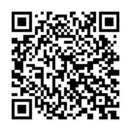 QR code for 384-RUB