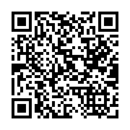 QR code for 384-SIN