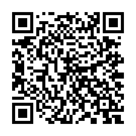 QR code for 384-TEI