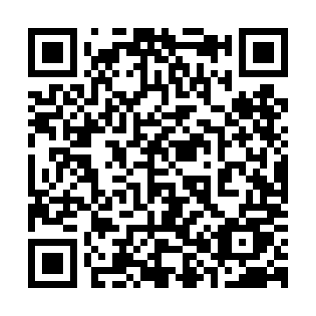 QR code for 384-TMU