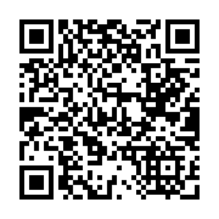 QR code for 384-VLG