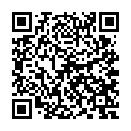 QR code for 384-VLO