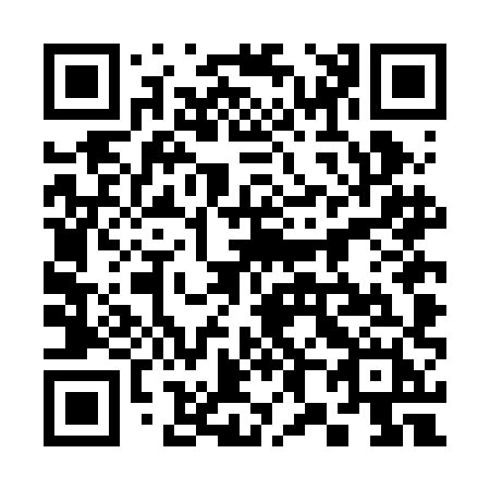 QR code for plate 384-BHH