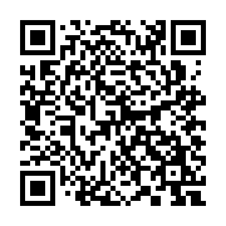 QR code for 384CEO