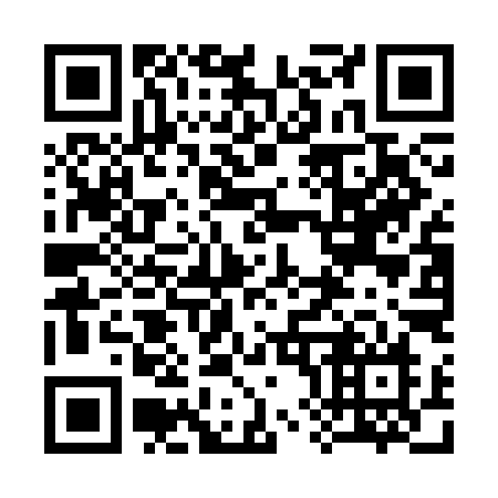 QR code for plate 384-CIN