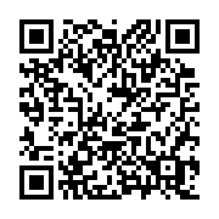QR code for plate 384-CVF
