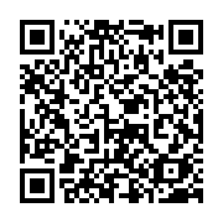 QR code for plate 384-ECH