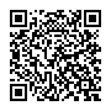 QR code for plate 384-JAY