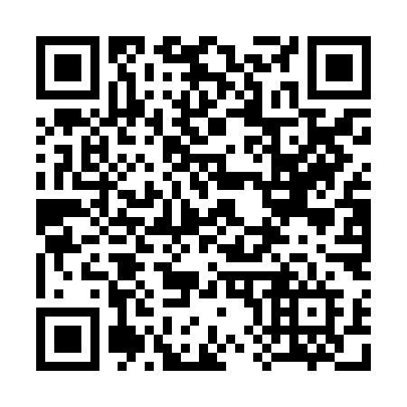 QR code for plate 384-JMF
