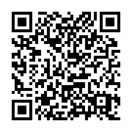 QR code for plate 384-JRU