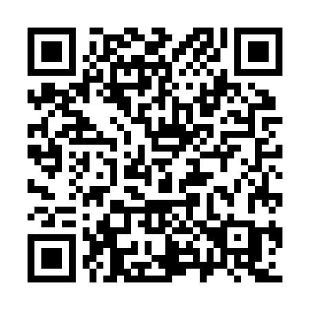 QR code for plate 384-JZC