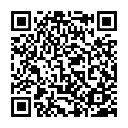 QR code for plate 384-KQR
