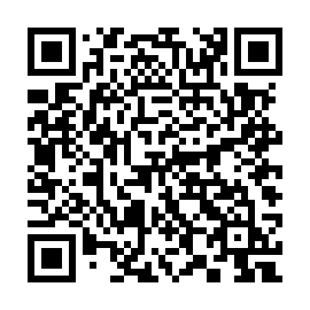 QR code for plate 384-MSJ
