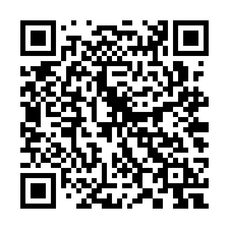 QR code for plate 384-QCH