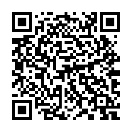 QR code for plate 384-RYB