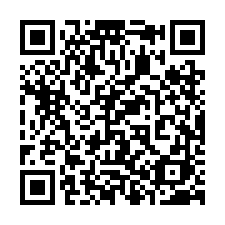 QR code for plate 384-SFH