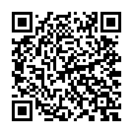 QR code for 384TVL