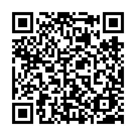 QR code for 384VOC