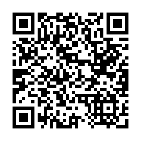 QR code for 385-FCO