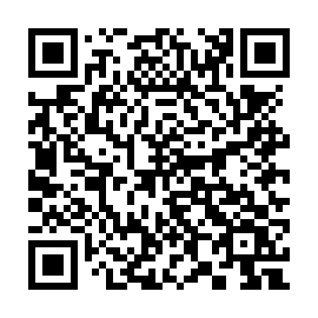 QR code for 385-NVV