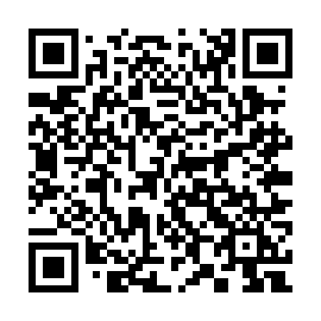 QR code for 385-PNI