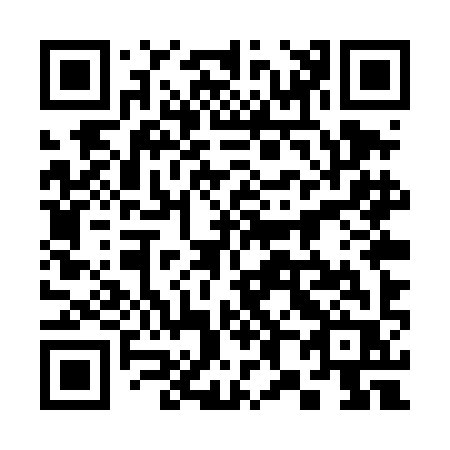 QR code for 385-TIR