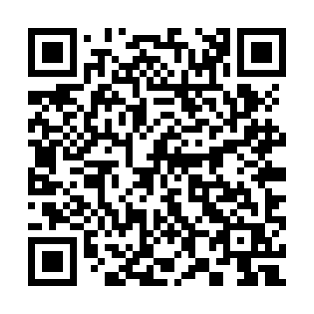 QR code for 385-ZIR