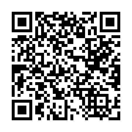 QR code for plate 385-BMS
