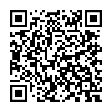 QR code for 385DAN