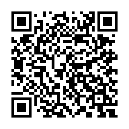 QR code for 385DEN