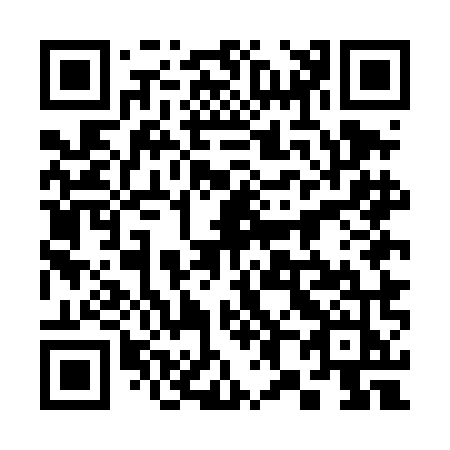 QR code for plate 385-DMJ