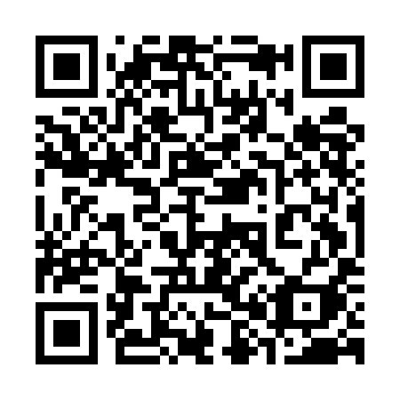 QR code for plate 385-EII