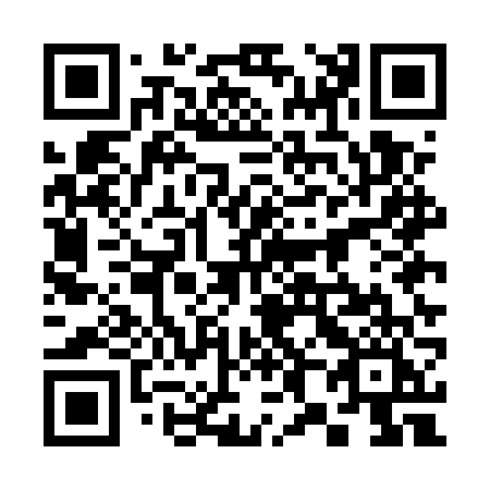 QR code for plate 385-EVI