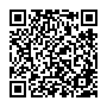 QR code for plate 385-FLG