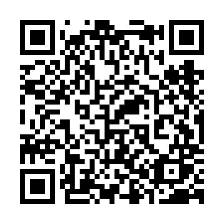 QR code for plate 385-FMS