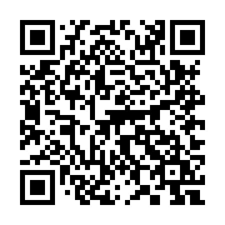 QR code for plate 385-HZU