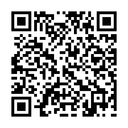QR code for 385IBX