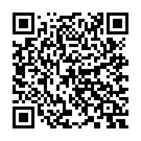 QR code for plate 385-JNA