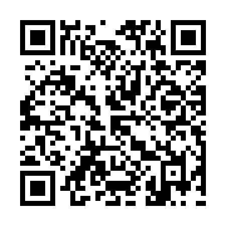 QR code for plate 385-MHJ