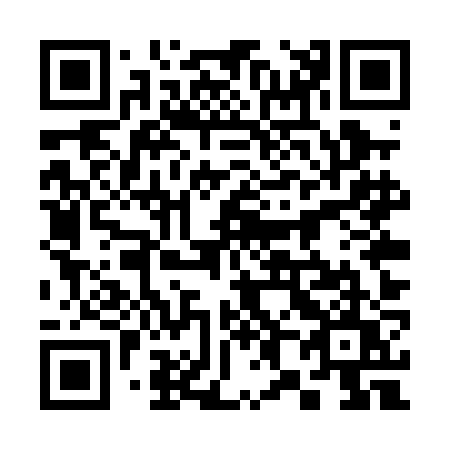 QR code for plate 385-PJU