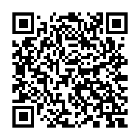 QR code for plate 385-QPM