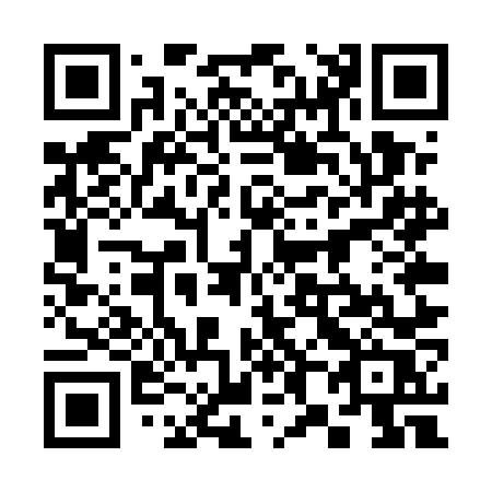 QR code for plate 385-UNR